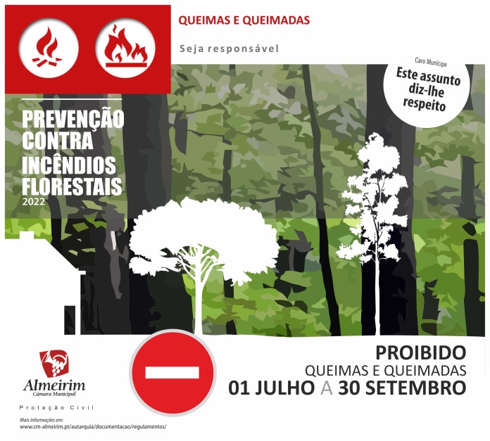 fogos florestais 2022 info queimadas