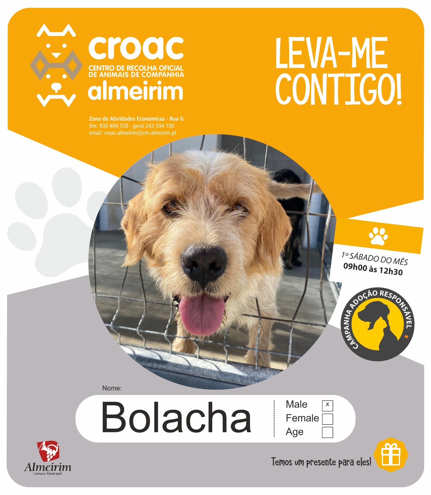 bolacha