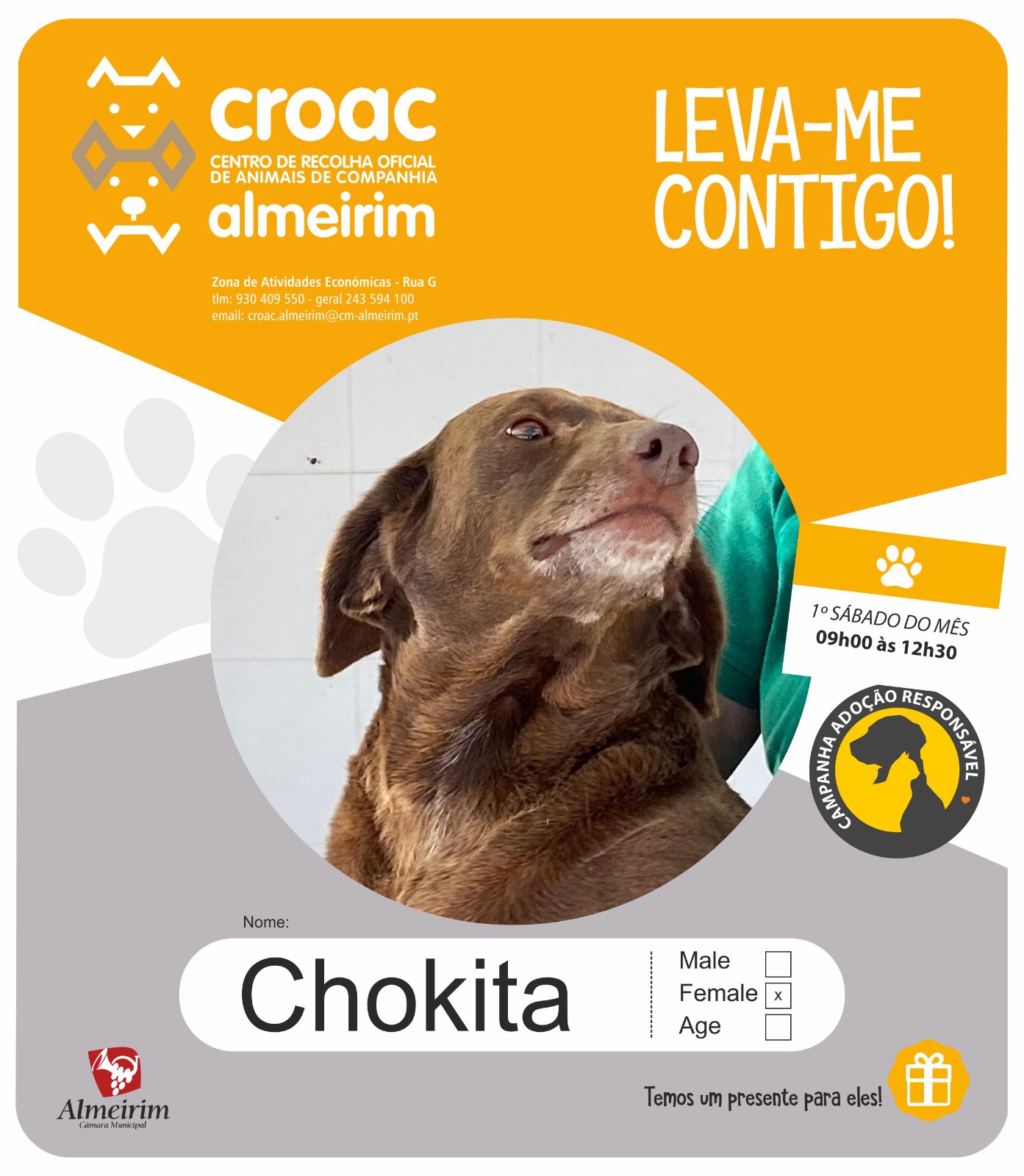 chokita