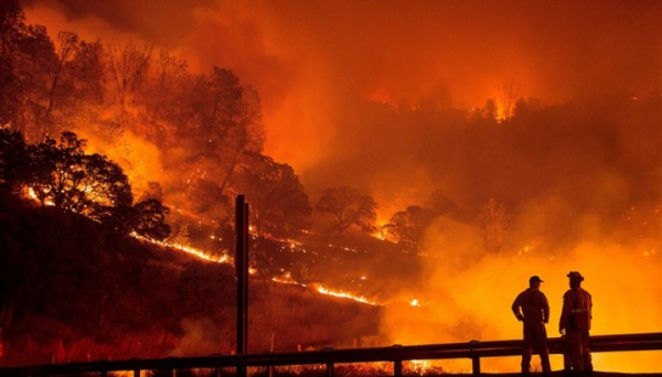 Consulta pública da proposta de Plano Intermunicipal de Defesa da Floresta Contra Incêndios, dos Municípios de Almeirim, Alpiarça e Chamusca.