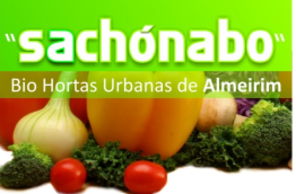 Sachónabo