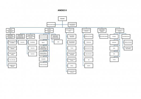 Regulamento e estrutura/organograma dos Serviços Municipais - Ano 2020