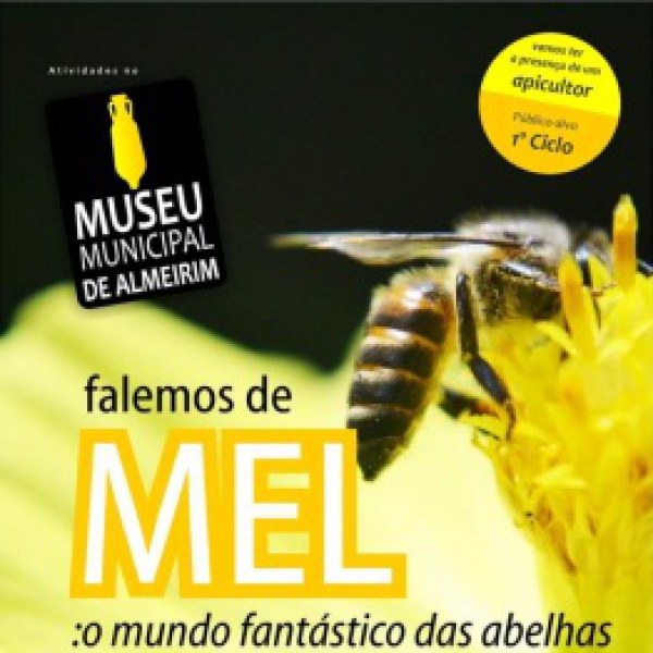 &quot;Falemos de Mel: O mundo fantástico das abelhas&quot;