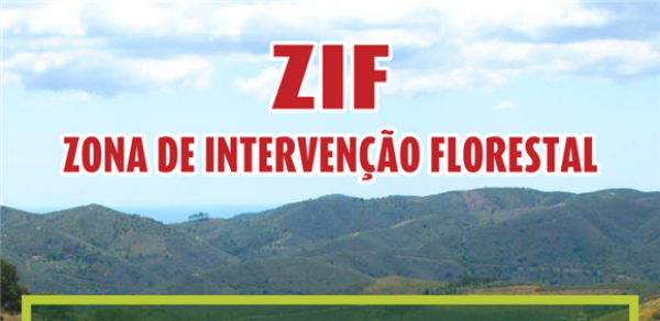 Zonas de Intervenção Florestal (ZIF)