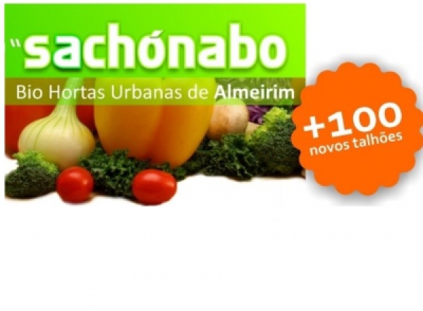 Bio Hortas de Almeirim – “Sachónabo” – 2ª fase